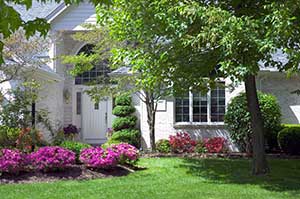 Colorful front yard