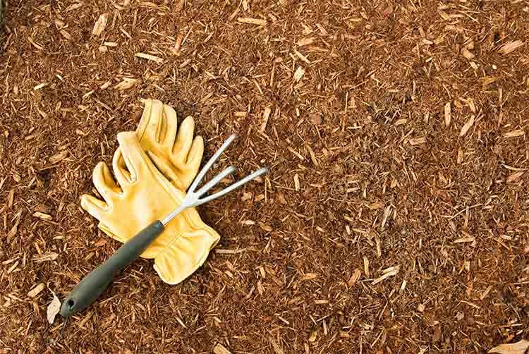 Mulch and gardening tools