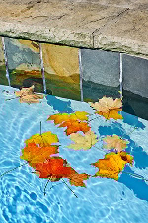 Shady trees can add extra maintenance to your cleaning efforts
