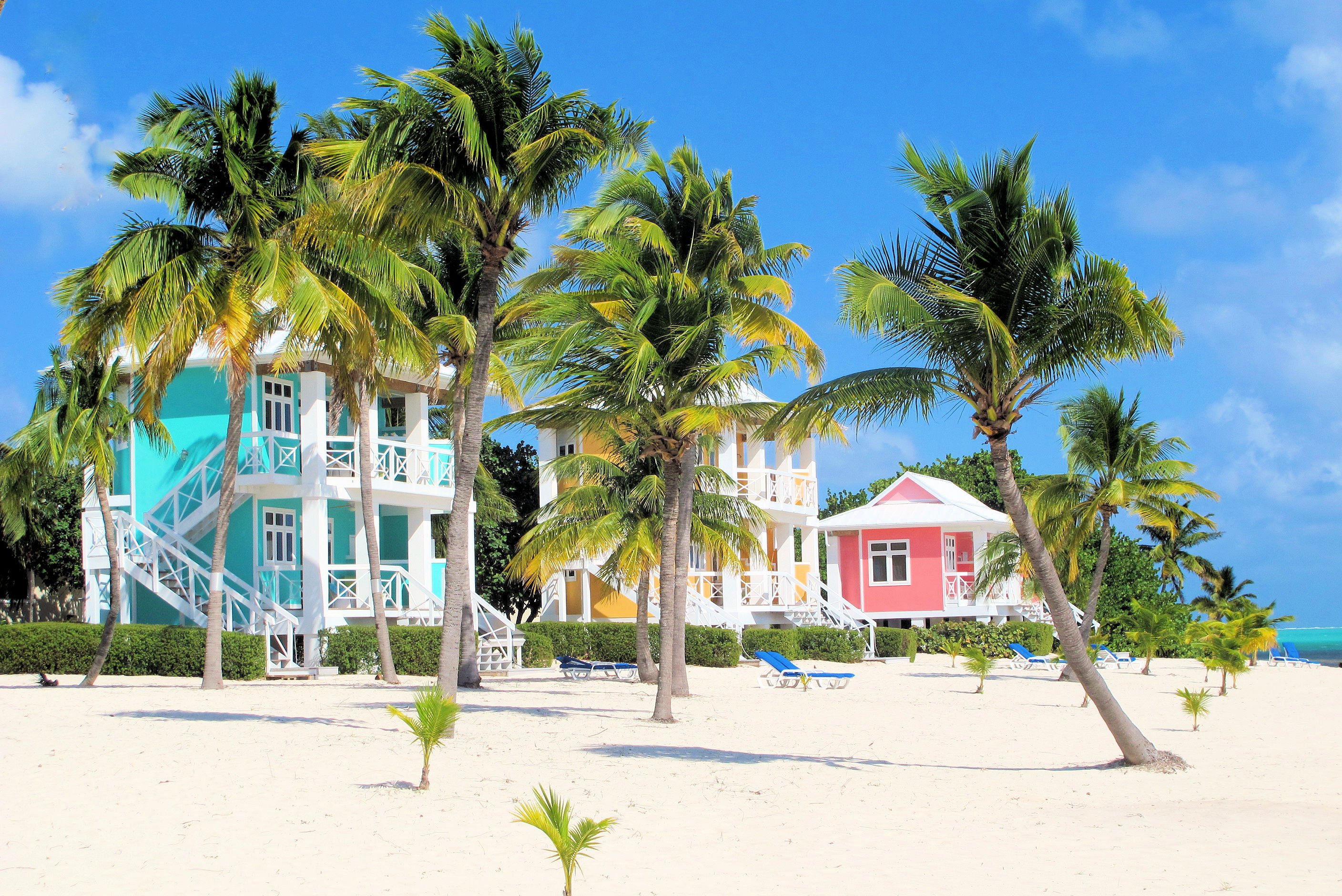 homes on the beach with palm trees and sand all around